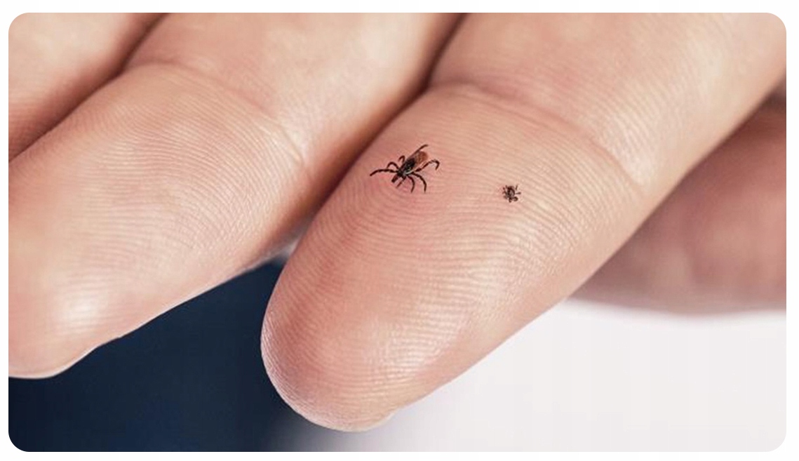 ASPIVENIN Miniaturowa Pompka Ssąca