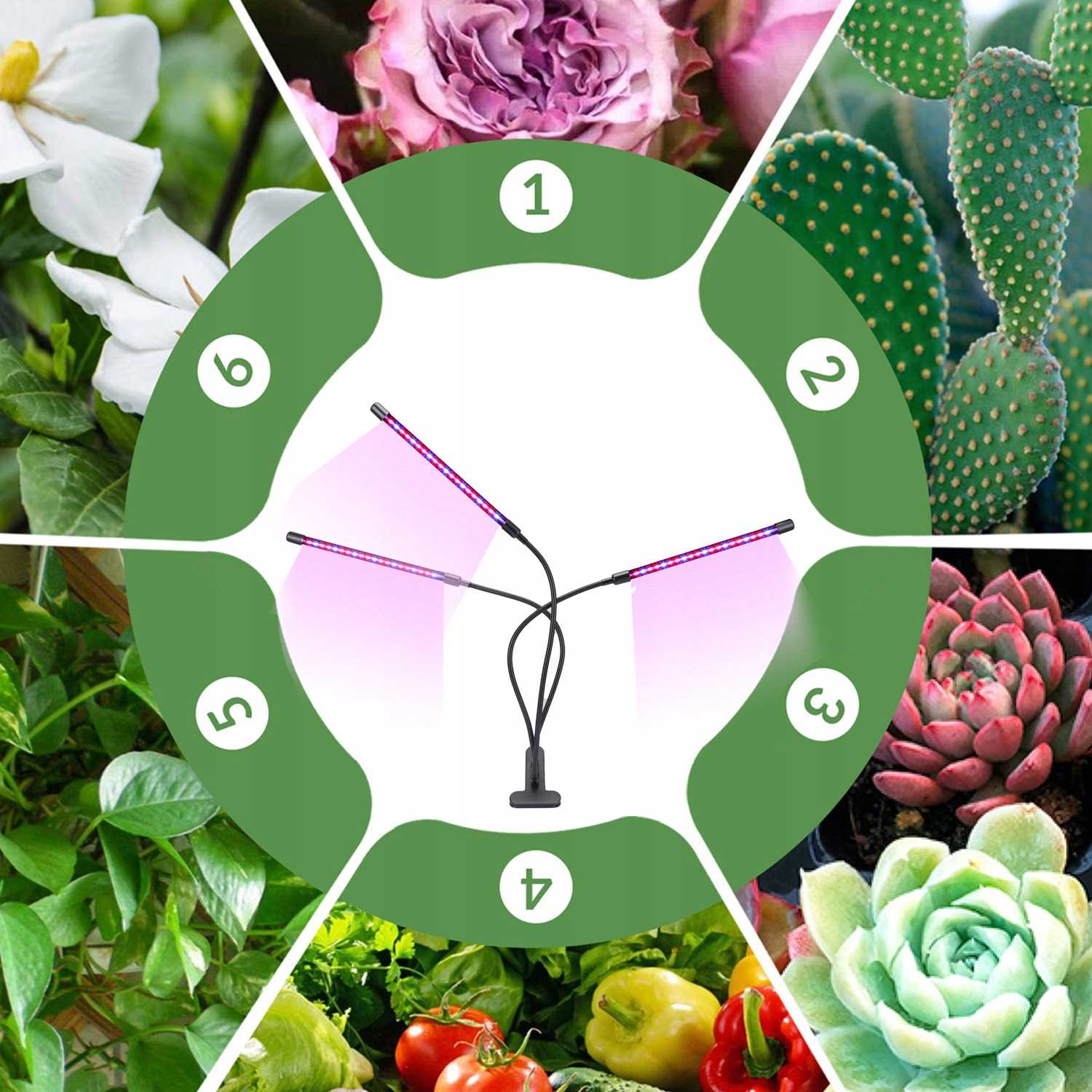 3x LAMPA LED DO WZROSTU ROŚLIN 60x LED TIMER TRYBY 27W 1200LM