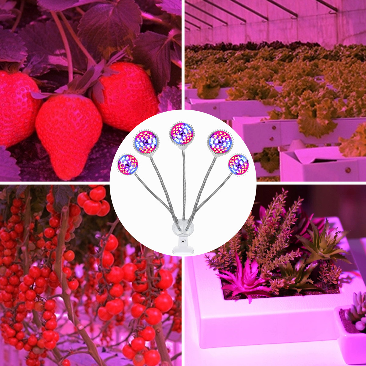 LAMPA LED DO WZROSTU UPRAWY ROŚLIN 150W 3000lm 5 GŁOWIC