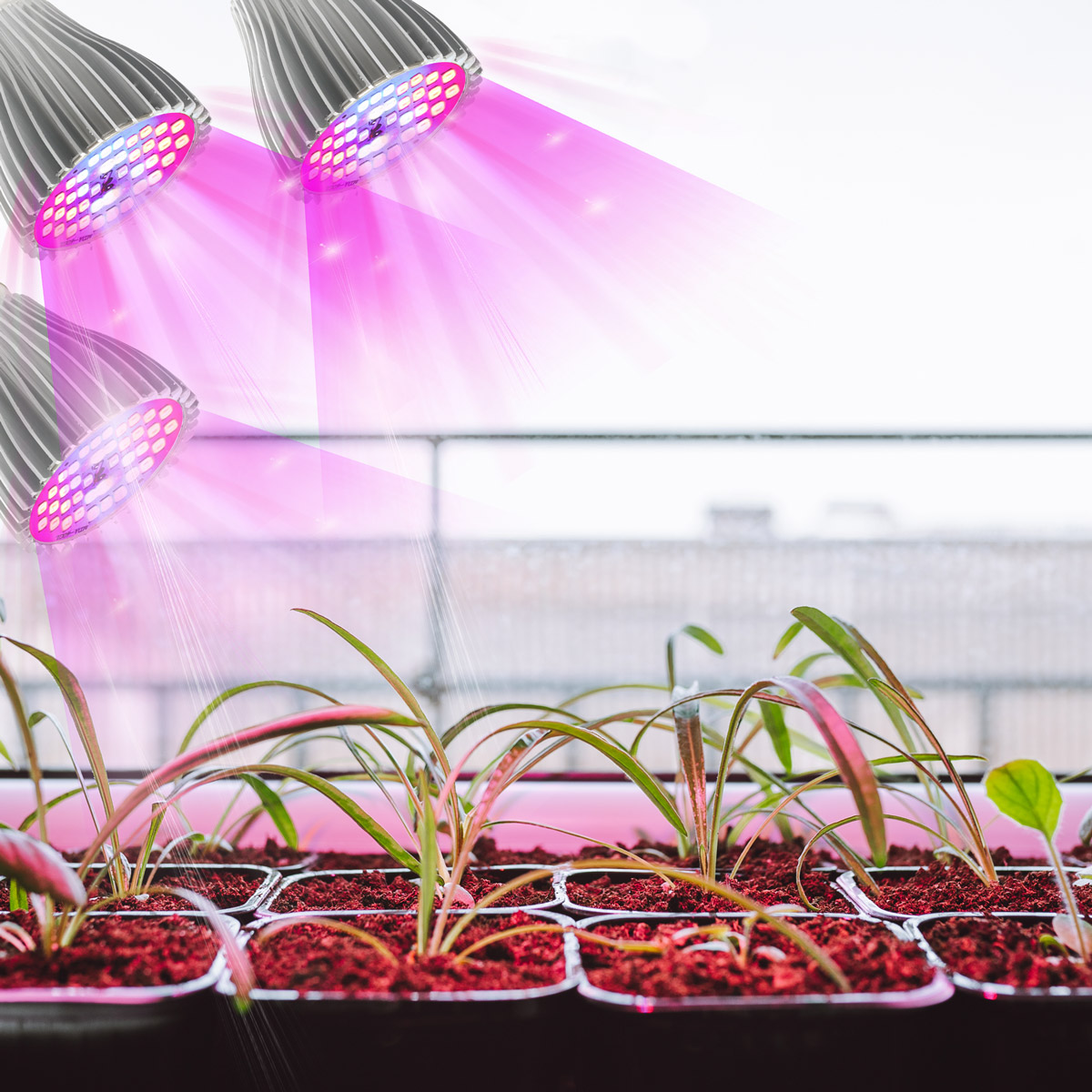 LAMPA LED DO WZROSTU UPRAWY ROŚLIN 90W 3000lm 3 GŁOWICE