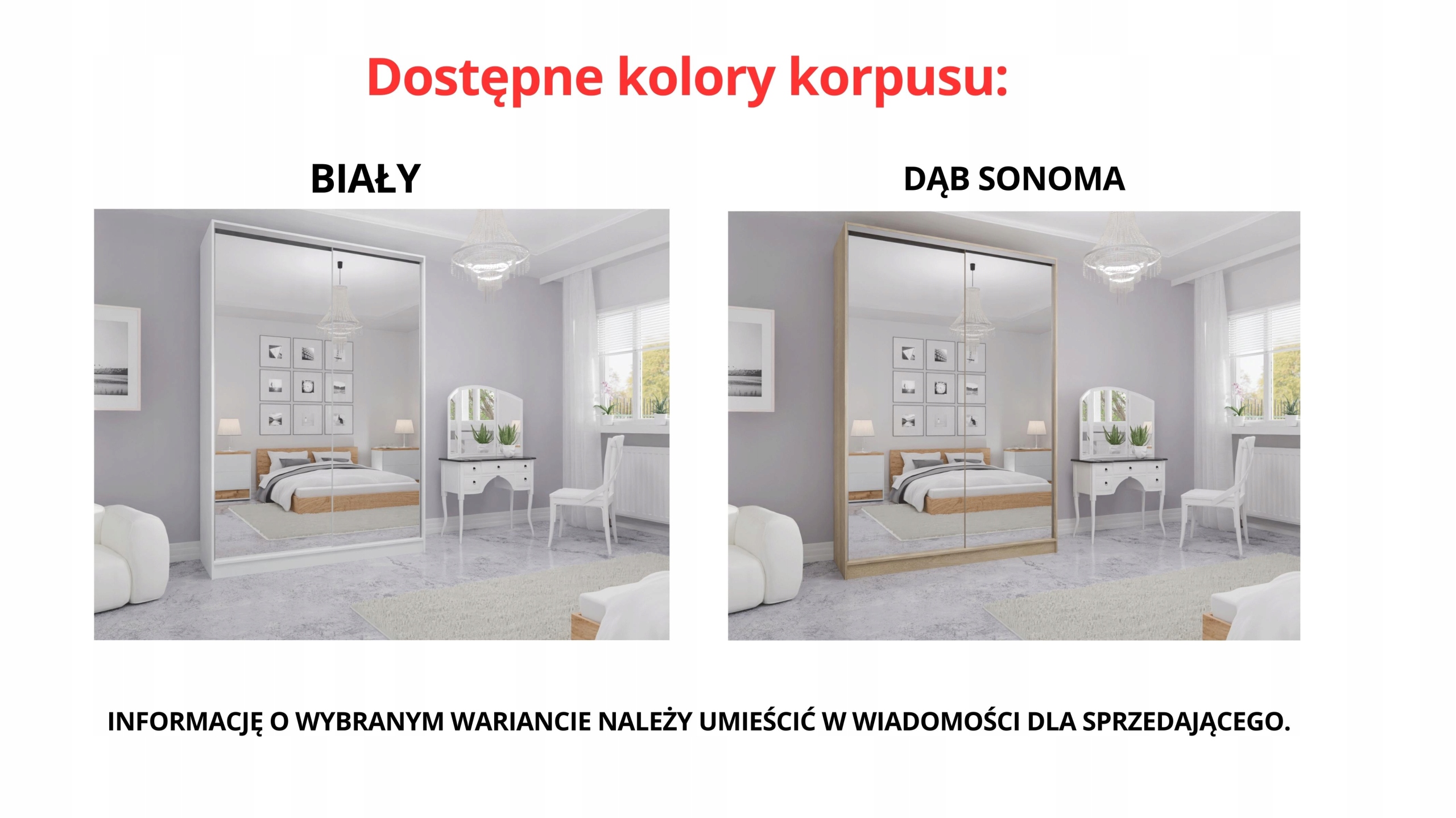 SZAFA PRZESUWNA STANDARD 100 x 250 BIAŁA LUSTRO P