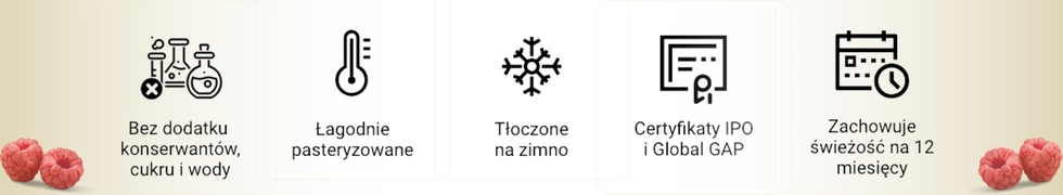 Sok jabłkowy 300ml NFC butelka zastaw 10szt