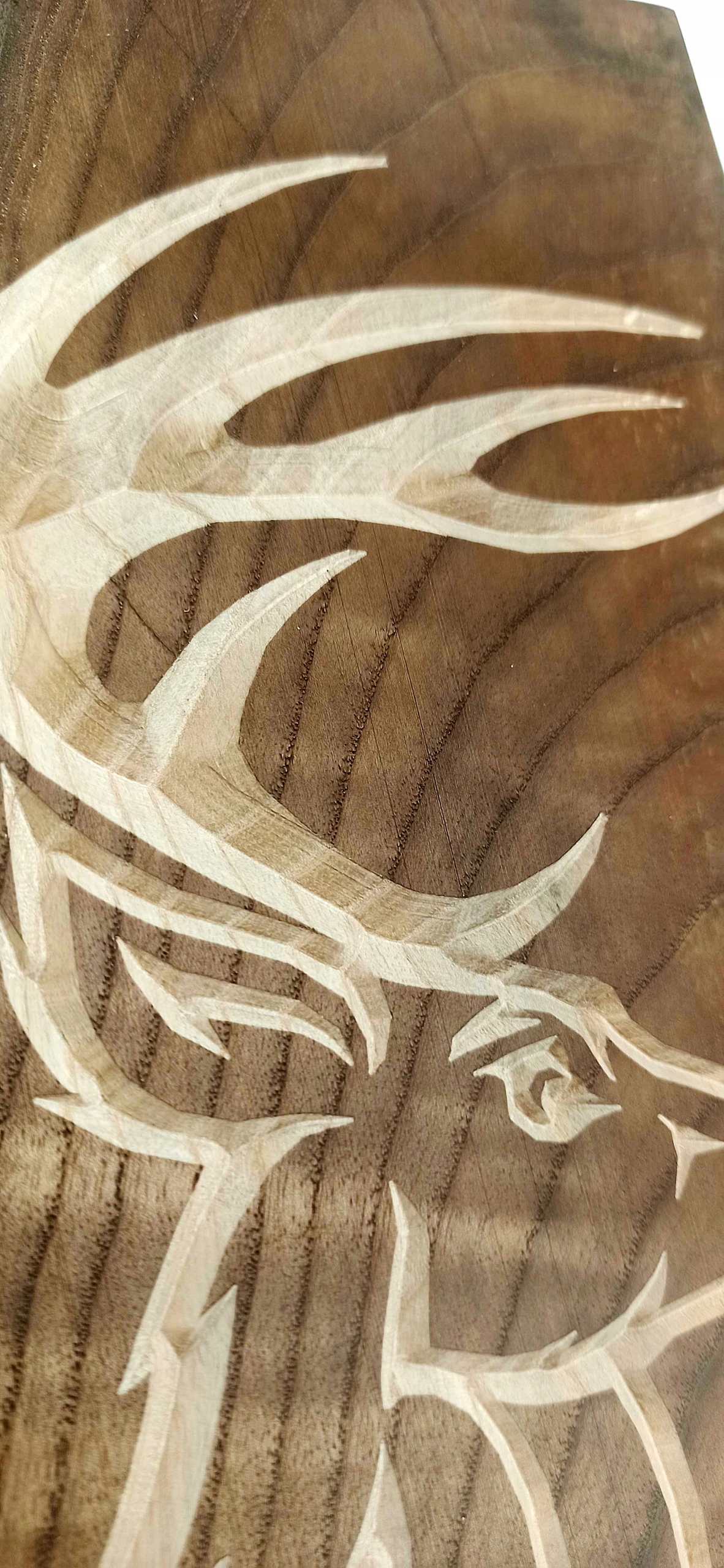 2fb17e6da29b877054e2cb1d9b15b6b2