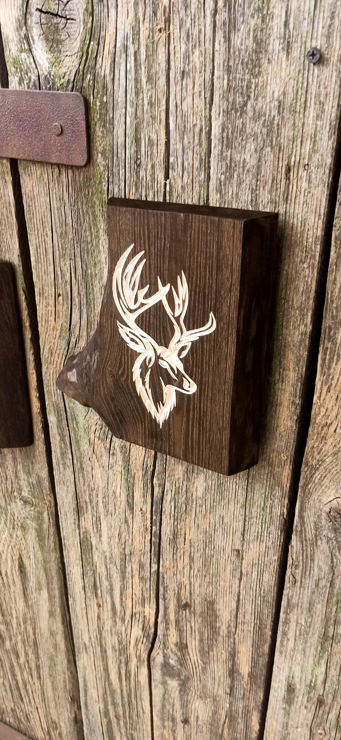 31cba2ff6e6db5d03ed26aab5a29fa83