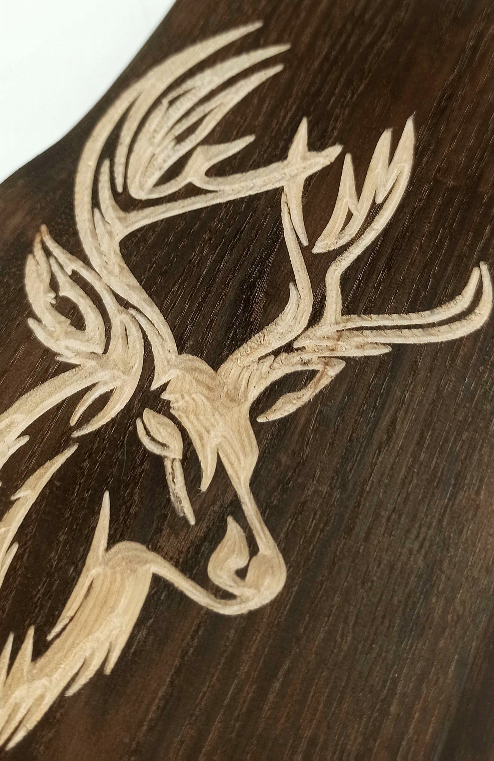 44e52ce7ebb2648a62fdeb074c789bf3