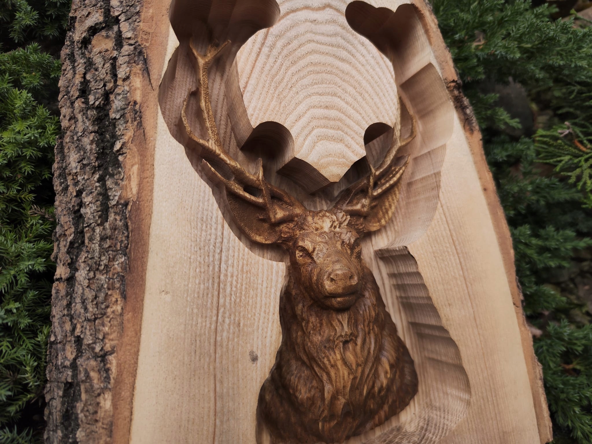 4d6cfe900da5c0d6decf564ae309b52b