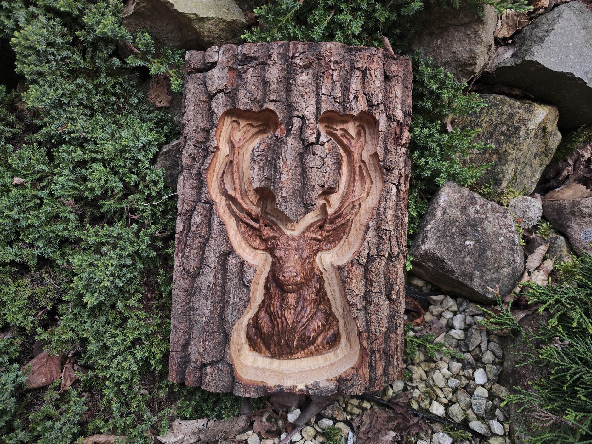 80f9643b8ccb3a6e86043dc99d70d63f