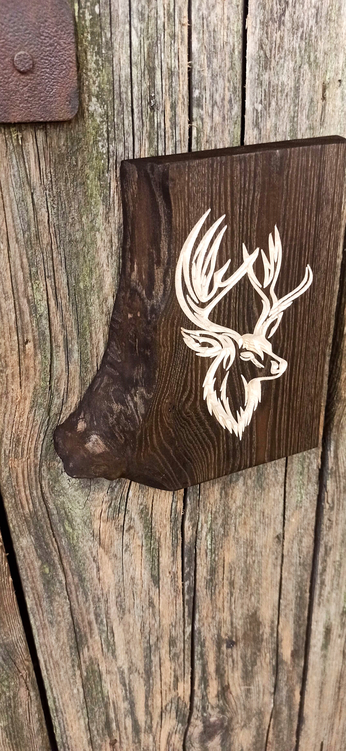 8328e5f3e72b46fa1c4df2d0792ddb9f