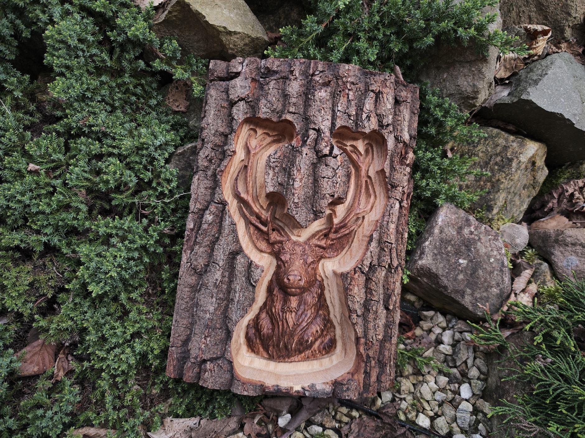 C5dbdcc21004e8a467008d693df3b9b5