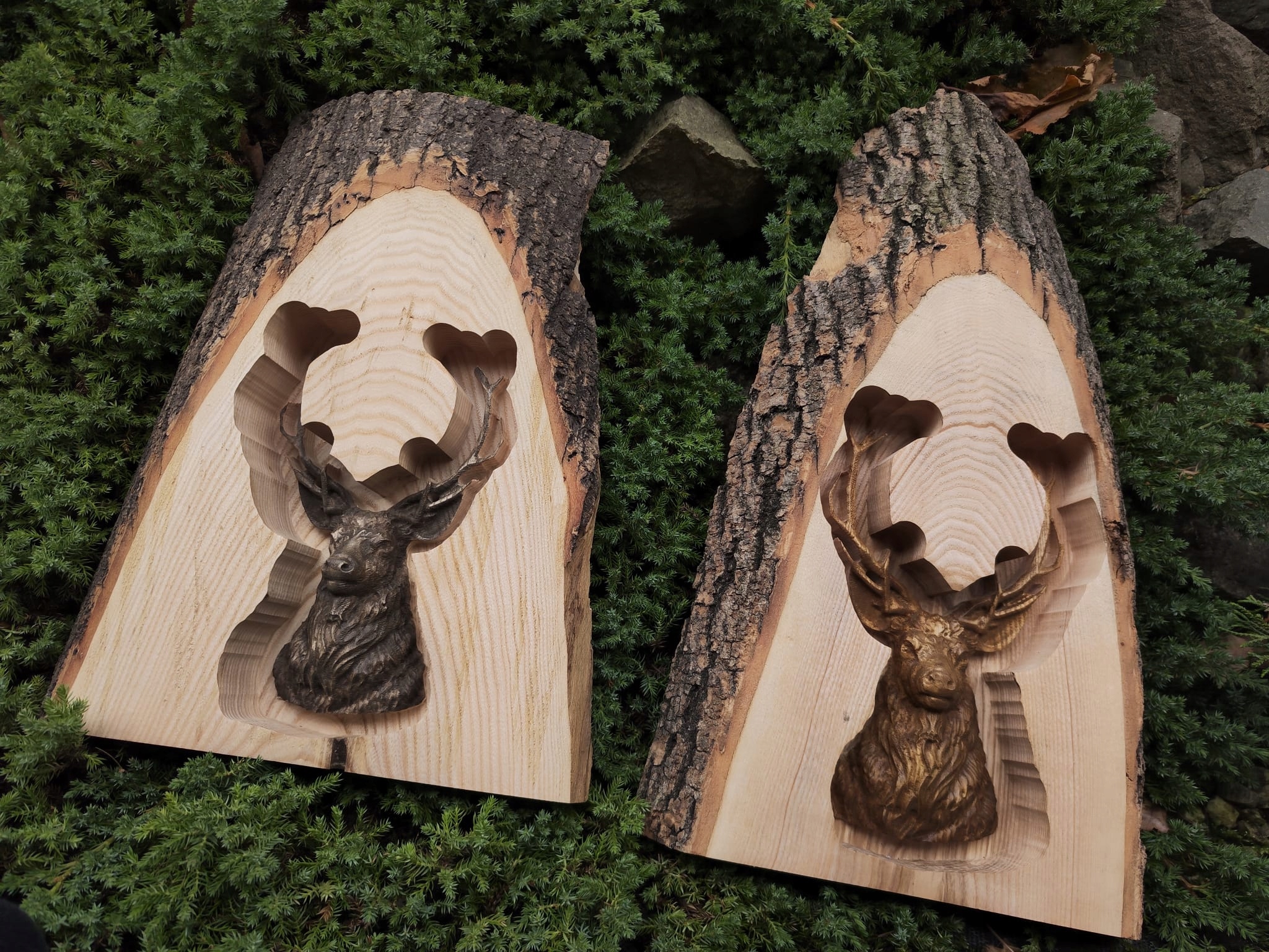 D549aa1f4ba42c00437e06140835ddf2