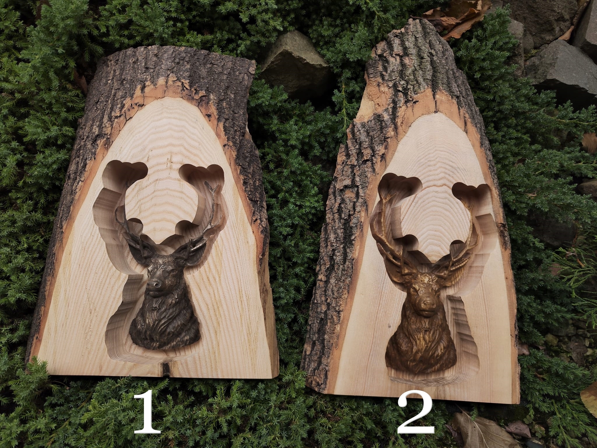 F5d27550a59b702f6d97f58b88d3af30