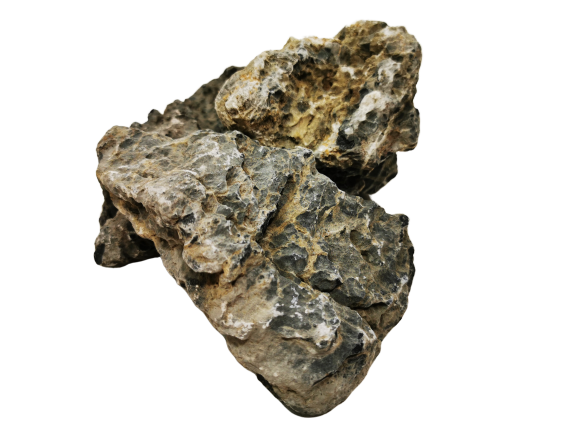 65166205_1.png