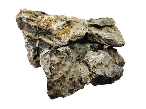 65166205_2.png