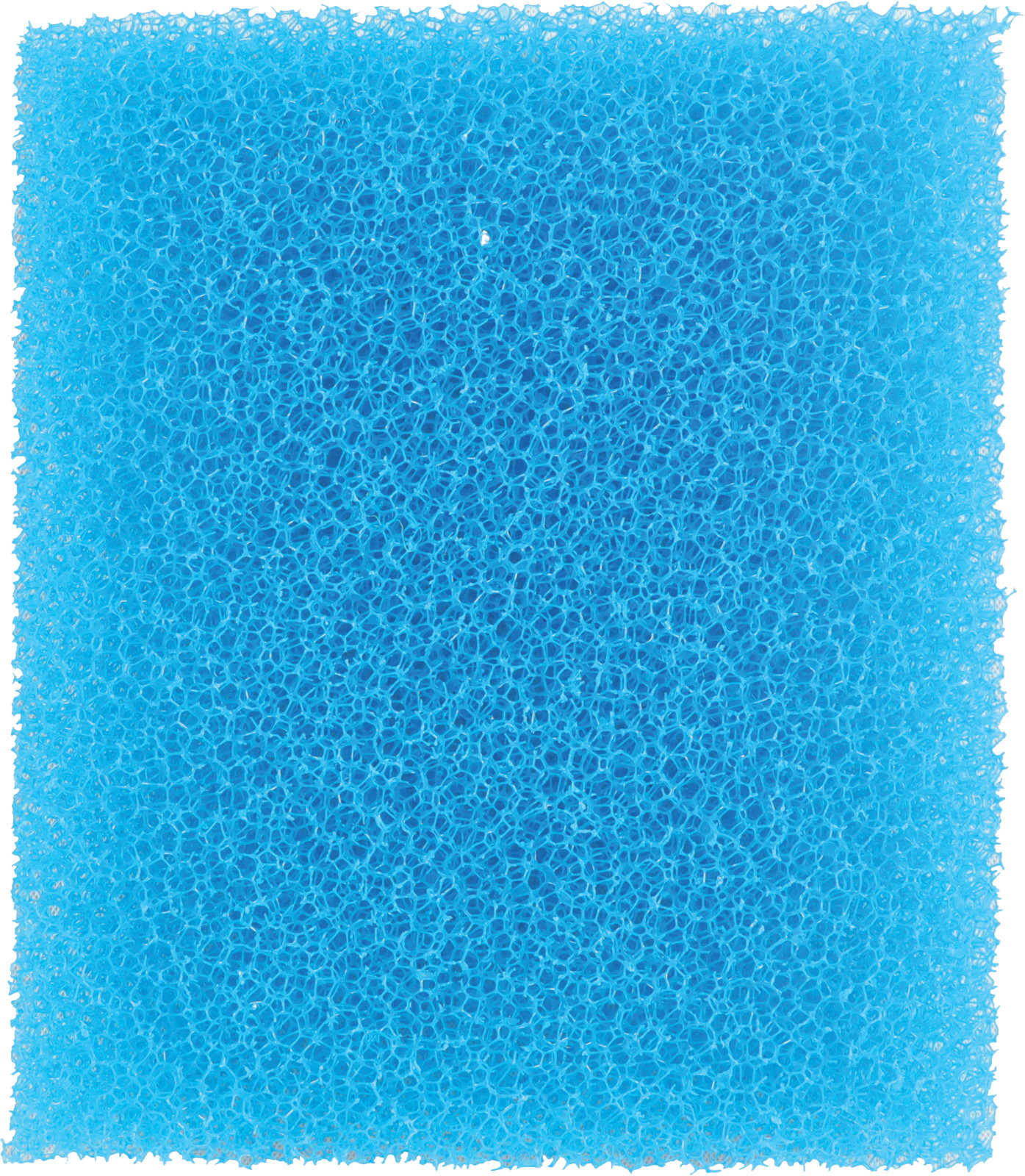 80900552_1.jpg
