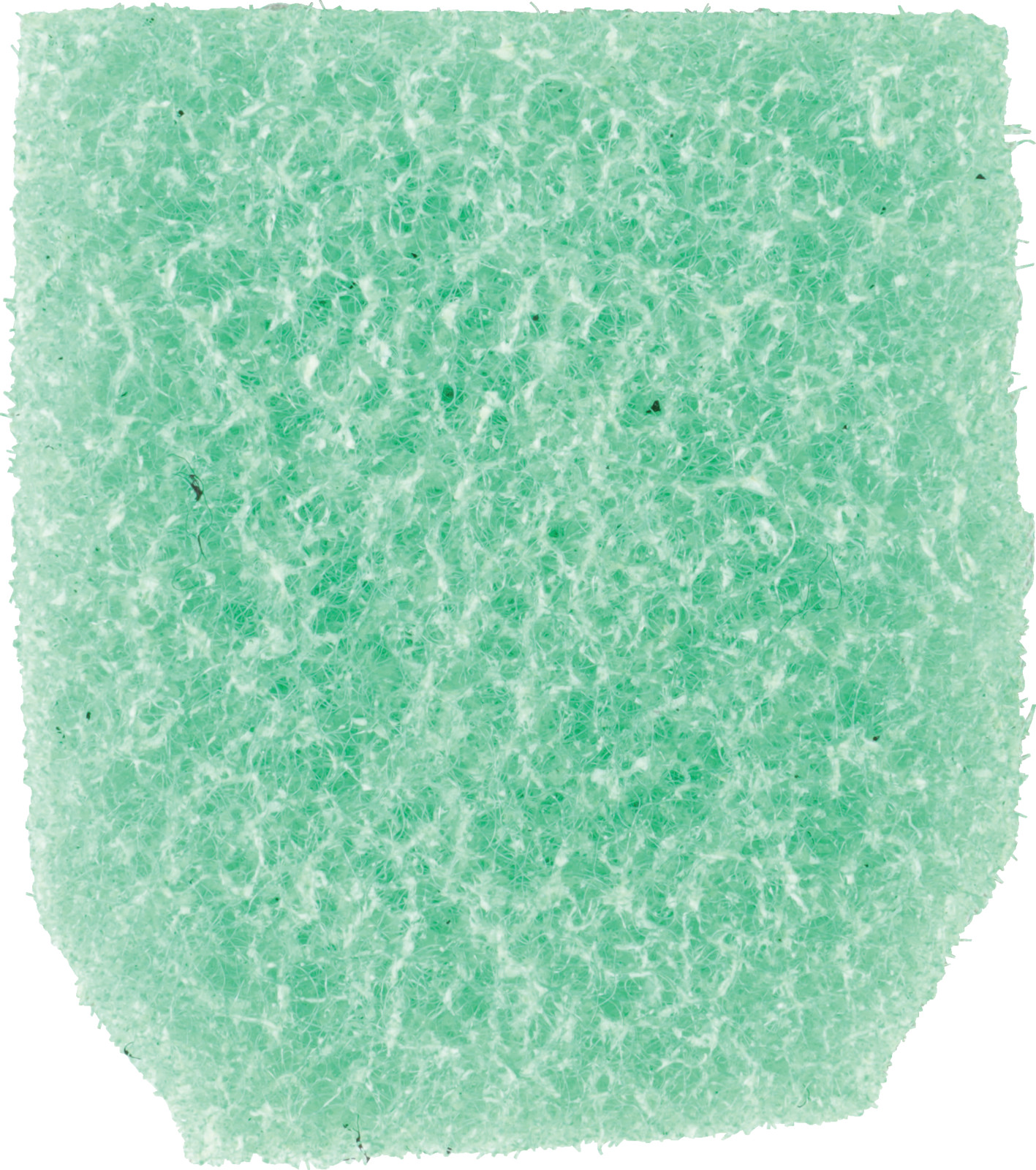 80900576_1.jpg