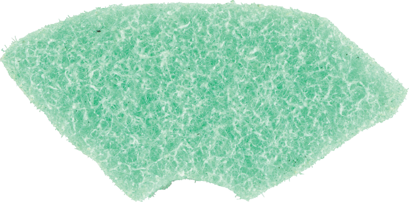 80901339_1.jpg