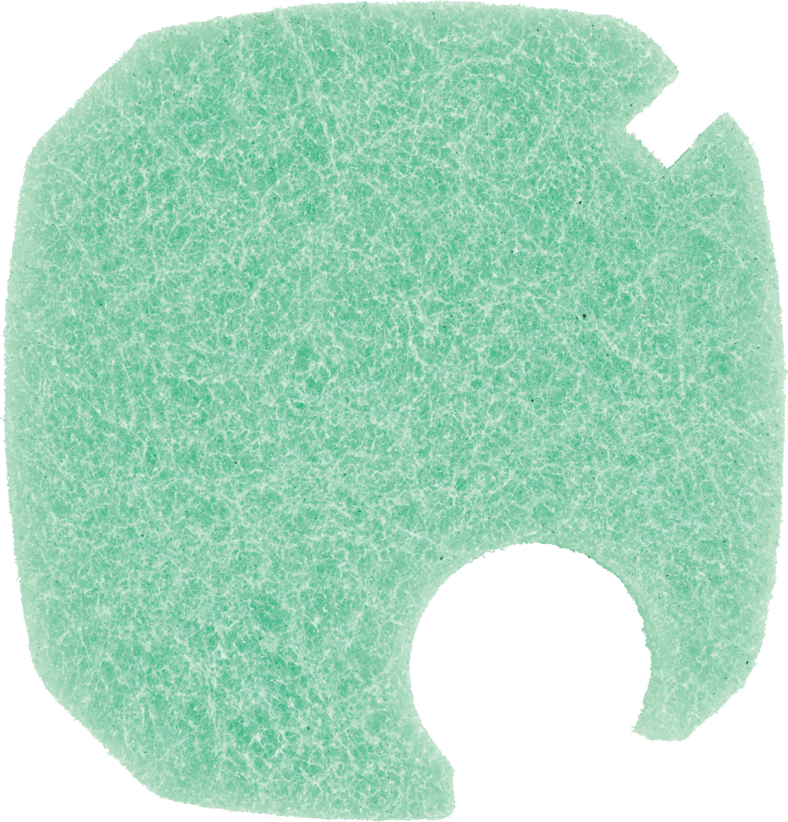 80901356_1.jpg