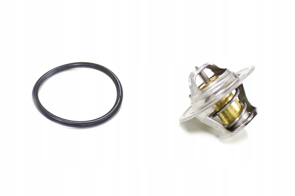 Boîtier De Thermostat ABAKUS – Réf. 038-025-0017 – Avec Capteur Et Thermostat – Neuf