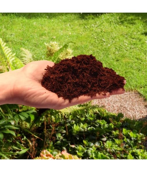 Kokosnussfasern 20L - Natrliche Kokoserde fr Blumen & Zimmerpflanzen |  eBay.de
