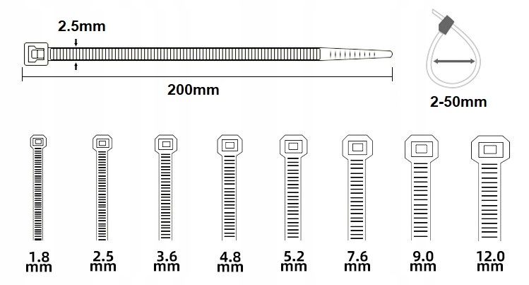 e13a3ed24634f04491ac42c35b274712.jpg