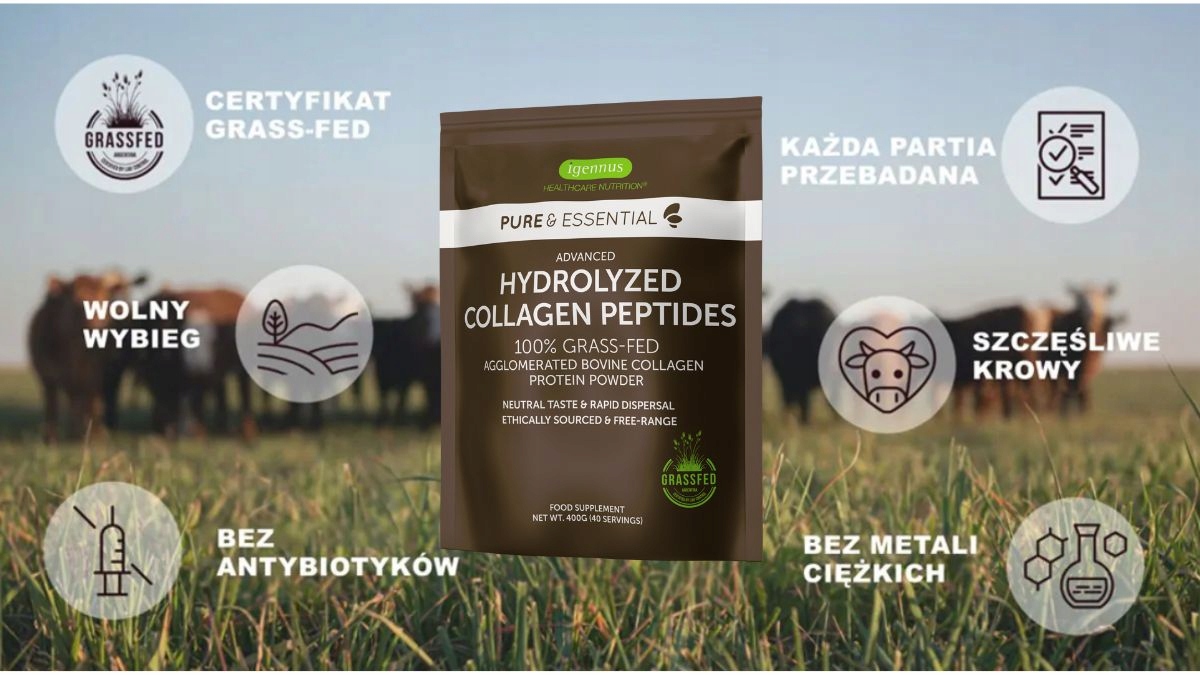 KOLAGEN aglomerowany hydrolizowane peptydy Igennus