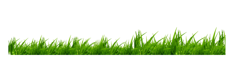 46b706c3ba31caec4038eb8500328d12.png