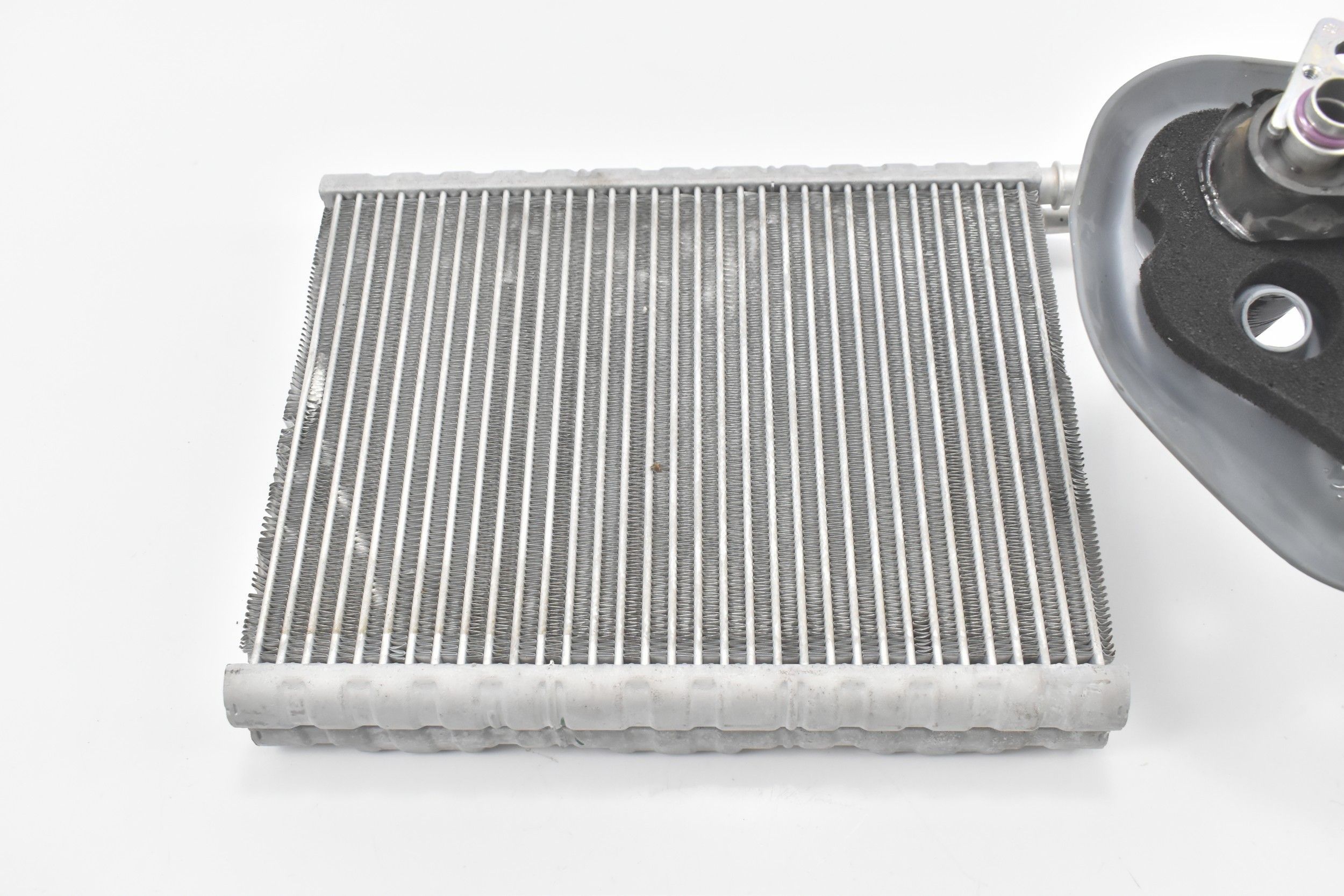 くるみ 楽天市場】【送料無料】 くるみ 生 胡桃 クルミ カリフォルニア