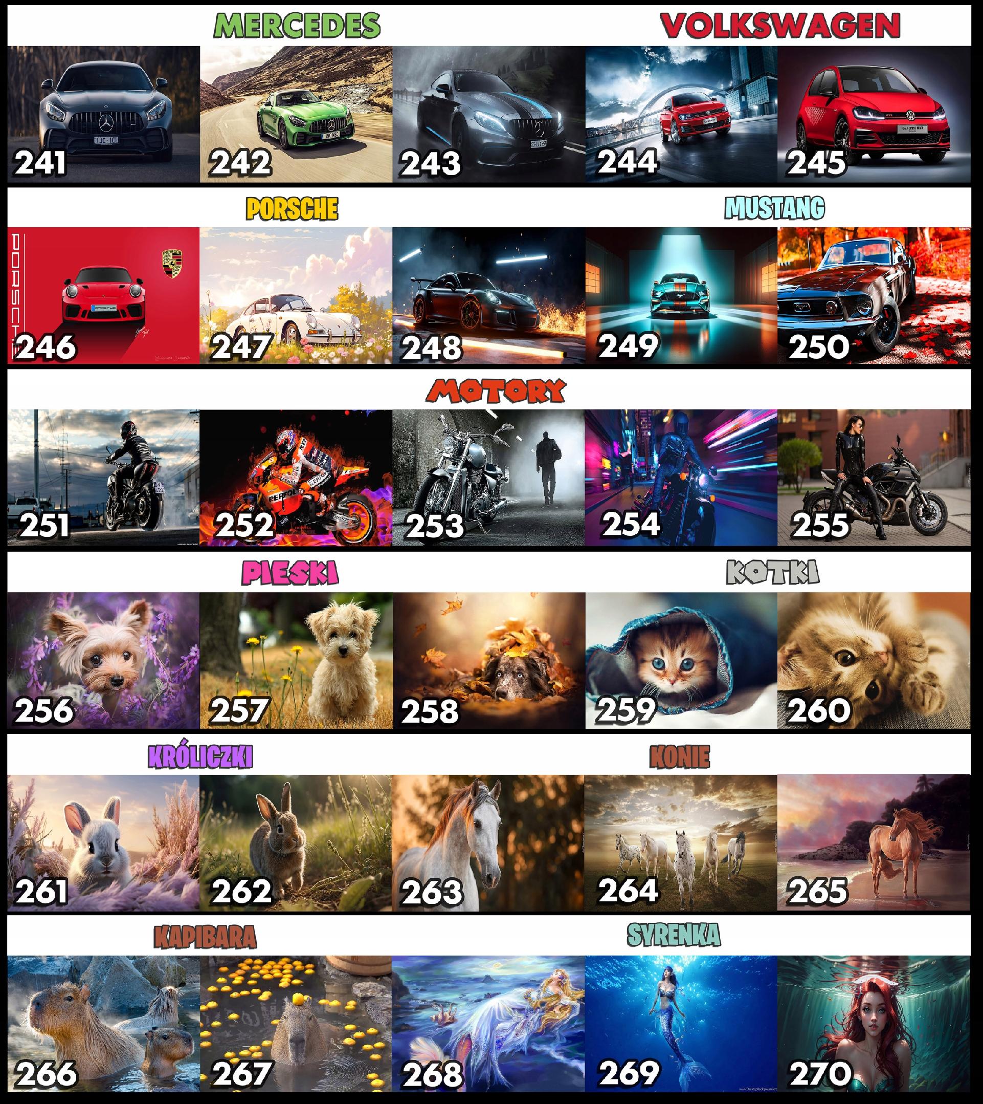 PODKŁADKA POD MYSZKĘ MYSZ WZORY DO WYBORU - WIEDŹMIN WITCHER GRY 29x36cm