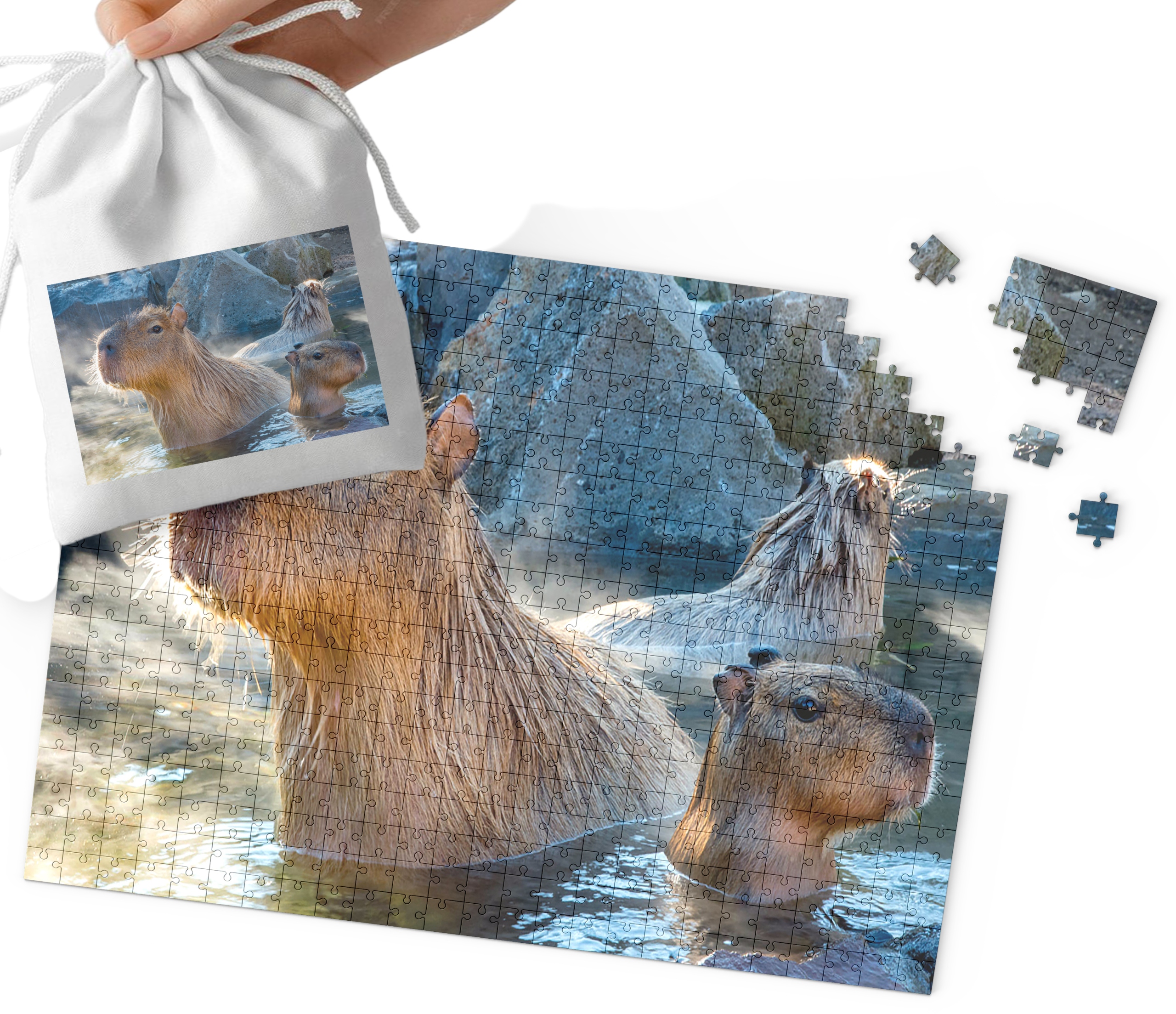 Puzzle World Case, Big Capybara, 24 piese, cu saculet de transport