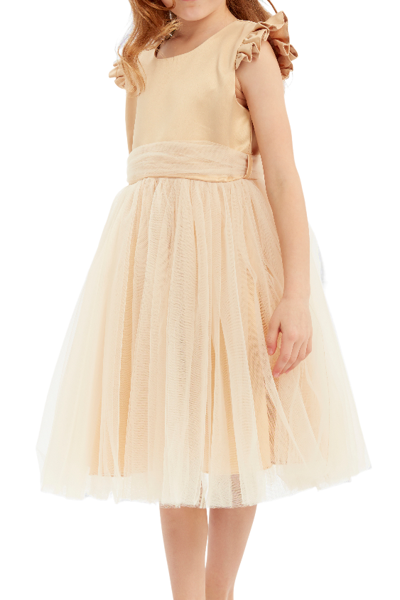 vestidos para niñas elegantes, vestidos damitas de honor niñas, vestidos de fiesta para niñas, vestidos de princesas para niñas, vestidos de navidad para niñas, vestidos de gala para niñas, vestidos de cumpleaños para niñas, vestidos de ceremonia para niñas