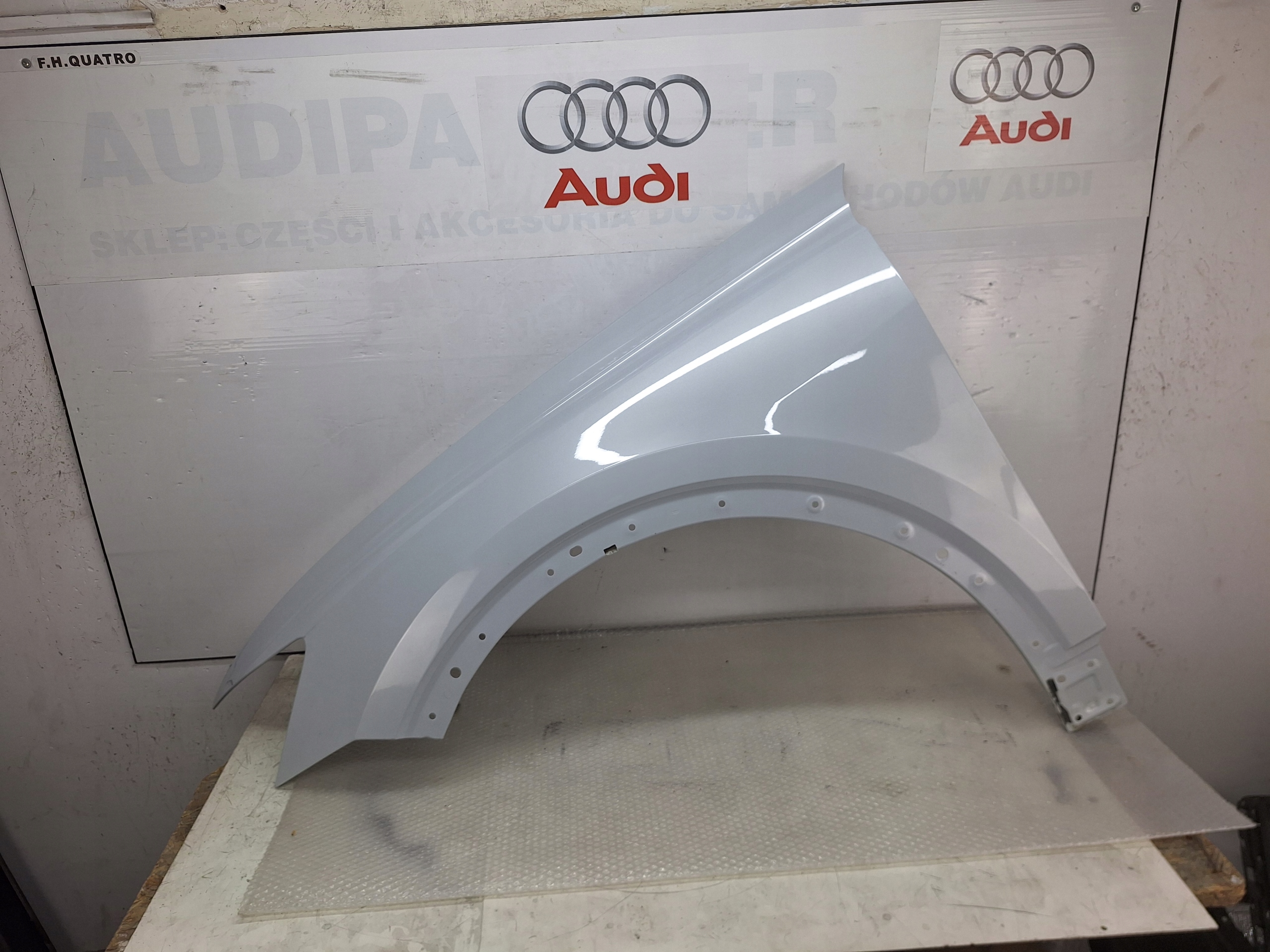 AUDI RSQ8 SQ8 Q8 4M8 4M 2019-2024 Kotflügel Vorne Links Fahrerseite OE Teile