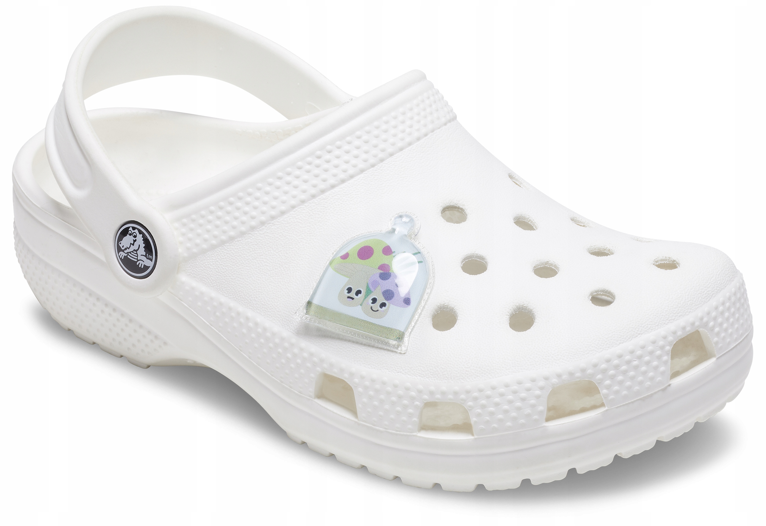Przypinka Ozdoba Jibbitz Charms Pin Do Butów Crocs Terrarium Friends