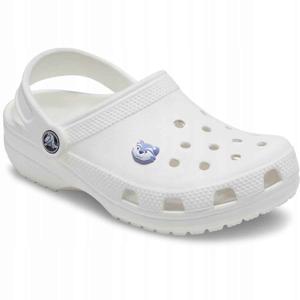 Przypinka Crocs Jibbitz Pin Do Butów Crocs Teensy Tiny Racoon