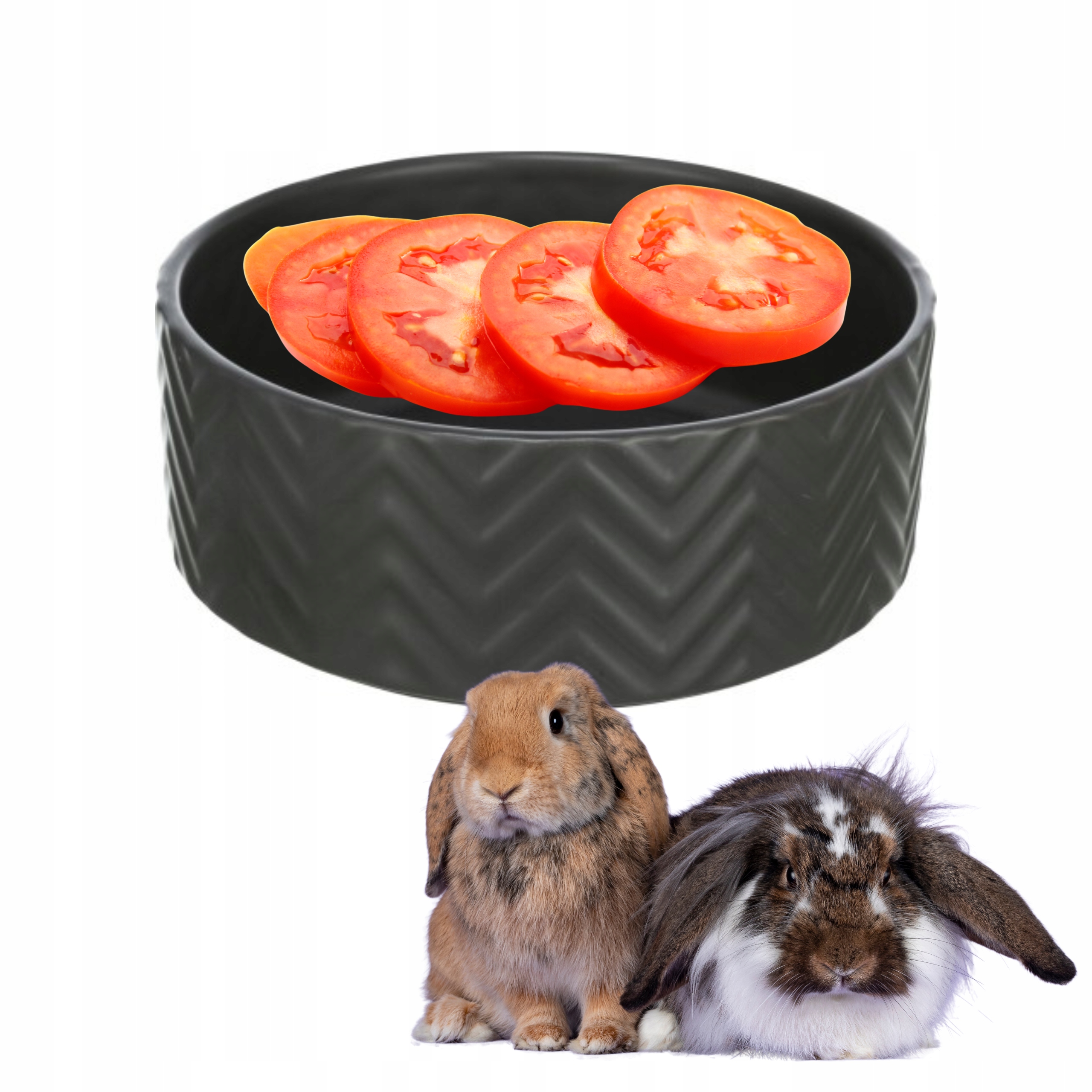 MISKA CERAMICZNA DUŻA 16cm CZARNA MATOWA 0,9L DLA KRÓLIKA MISECZKA TX-25021 - 04e0c8430f42cddc01637d29cda32101
