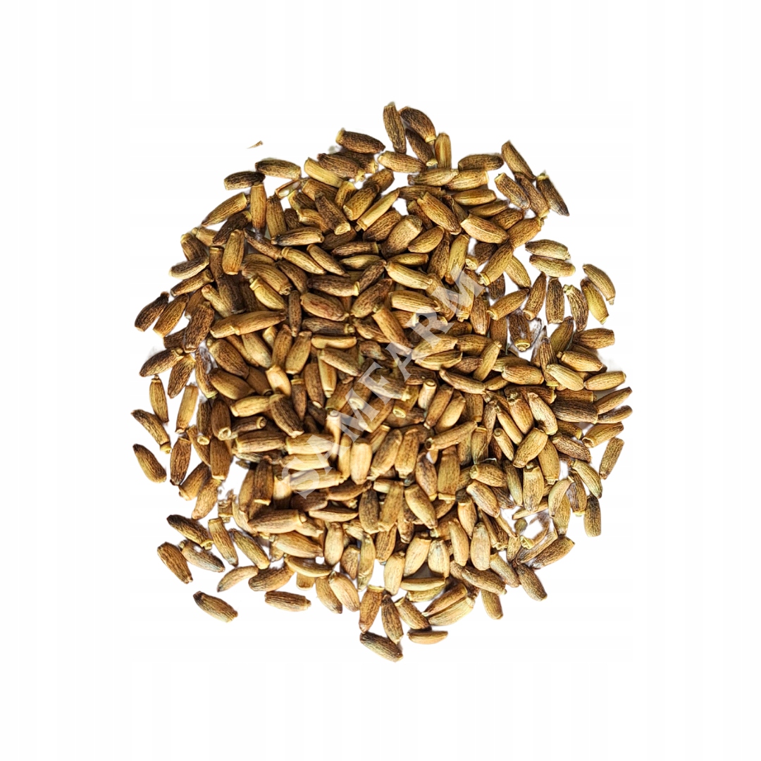 Samfarm ostropest plamisty 200g XXL DUŻY bez cukru dla gryzoni i królików - 375bf4d97320ec131a7457a13191033d