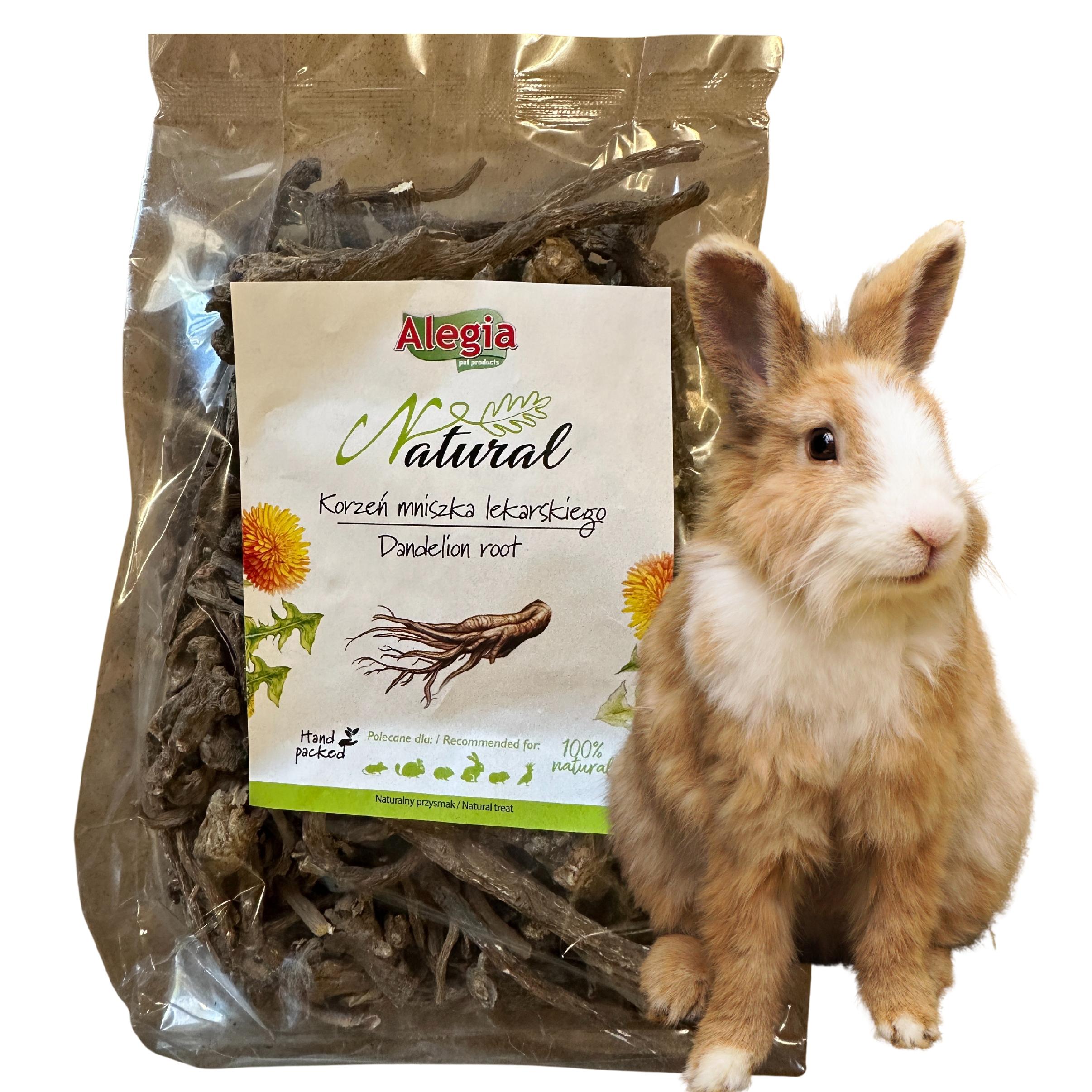 ALEGIA NATURAL KORZEŃ MNISZKA LEKARSKIEGO 300g PRZYSMAK GRYZAK DUŻA PACZKA - 37c2254b2c046969c7a6bc1193b7bab6