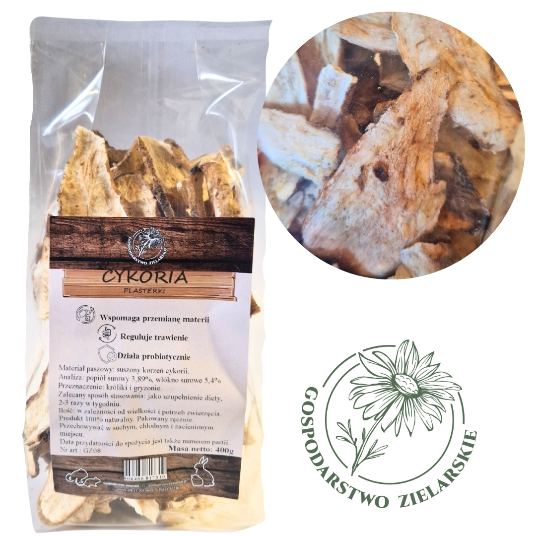 CYKORIA PLASTERKI 400g GOSPODARSTWO ZIELARSKIE CHIPSY WARZYWNE Z CYKORI - ddac13daee34d0f13c25f8e44f31a327