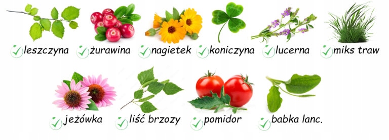 ZIOŁA I GAŁĄZKI DLA KRÓLIKA 150g HAM-STAKE MIESZANKA 0,15k ZIÓŁKA KONESERA - e2bd0545c62eb1a52ce60a7051ece5fa