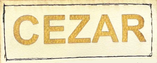 Legowisko dla psa kojec KINGDOG 75x65 personalizowane wodoodporne brązowe