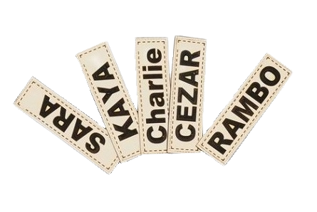 Legowisko dla psa kojec KINGDOG 115x95 cm wodoodporne kości srebrne