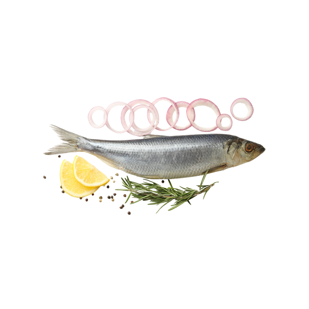 Śledż małosolne “Dauparu” (460g) luz