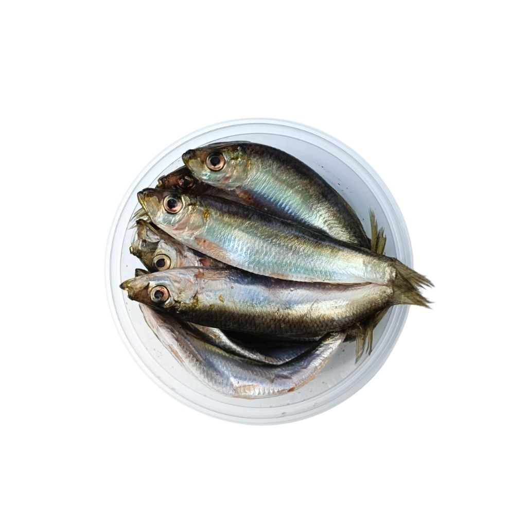 Szproty słone z przyprawami “Vergi” (100g) luz