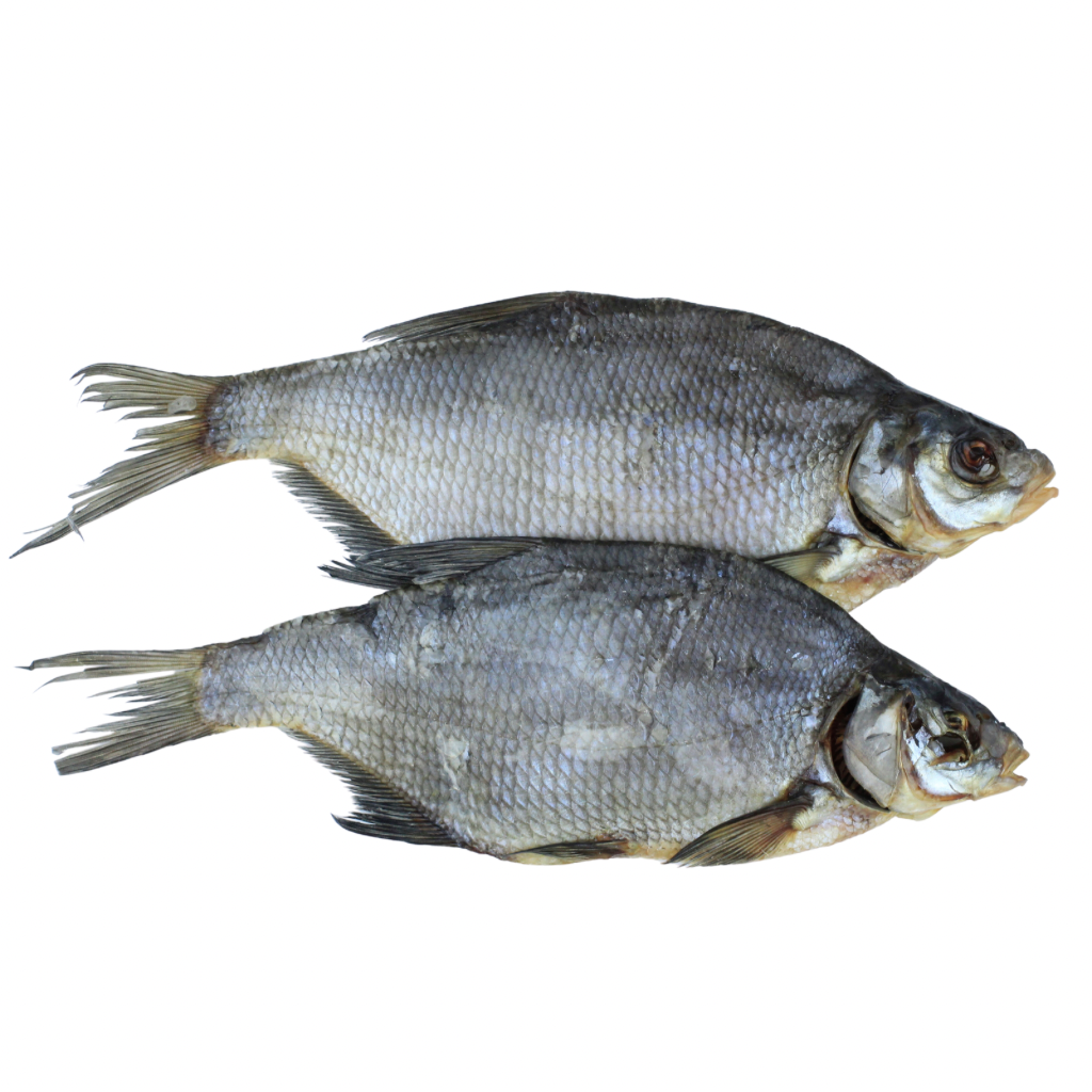 Leszcz duży suszony (700-800g) luz