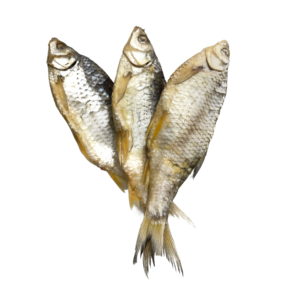 Wobla suszona niepatroszona solona 19+cm kaspijska (100g) luz