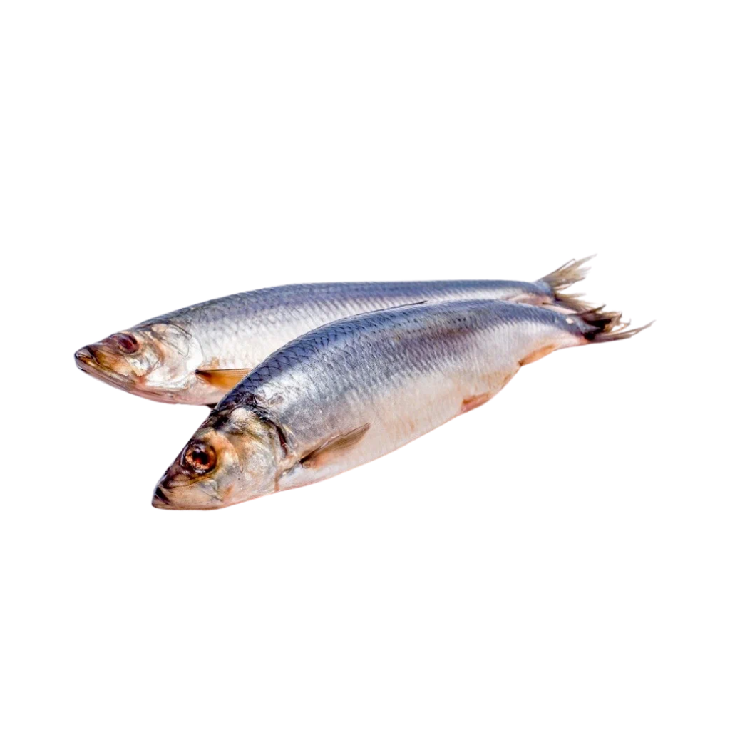 Śledzie małosolne (ok.400g) “Oniors” luz