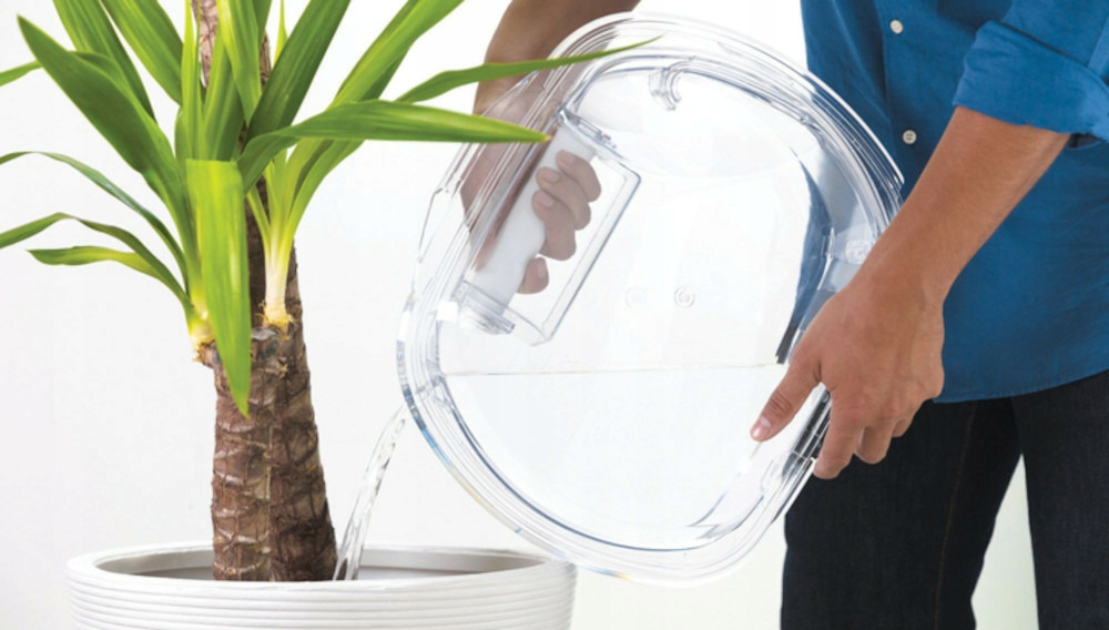 Slim 46,5 cm + Easy Case