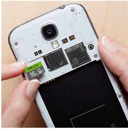 PNY Elite – idealna do kamer sportowych