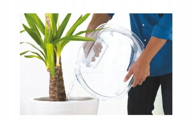 KG Detector + Easy Case