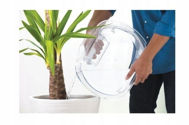 KG Detector + Easy Case