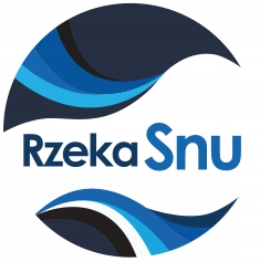 PODUSZKA Jaś Jasiek 40x40 ANTYALERGICZNA Pikowana